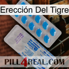 Erección Del Tigre new15